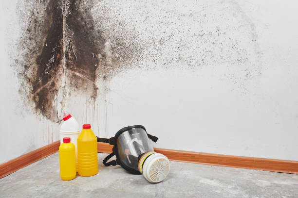 Best Bathroom Mold Remediation in Home, WA