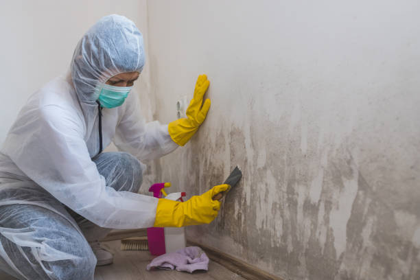 Home, WA Mold Remediation Company