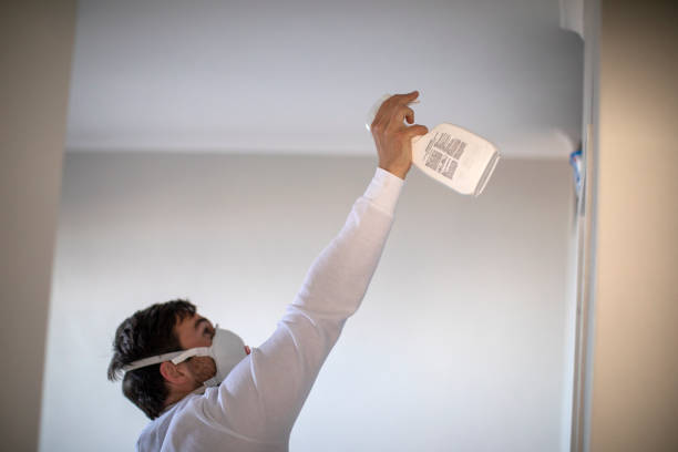 Best Localized Mold Remediation (e.g., coastal areas, humid climates) in Home, WA