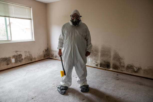 Best Post-Flood Mold Remediation in Home, WA